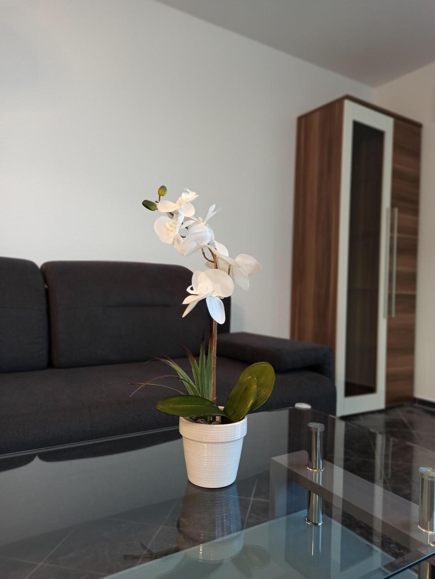 Ferienwohnungen Aviva Bodman - Urlaub In Unmittelbarer Seenaehe Room photo